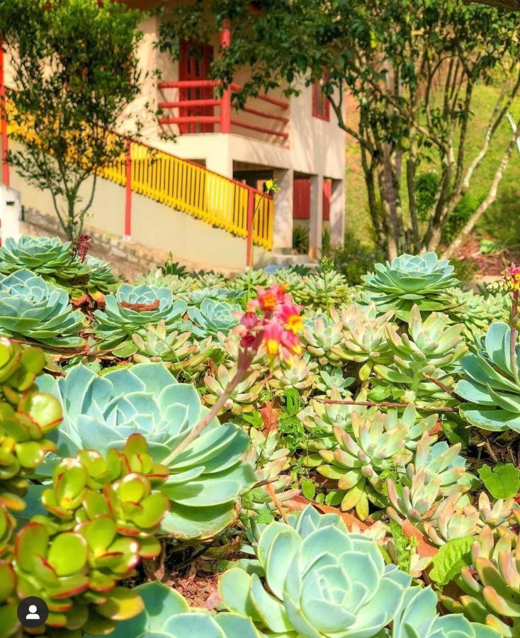 Sitio Dos Palmitos - Casa Pupunha Hotel Công viên tiểu bang Pedra Azul Ngoại thất bức ảnh